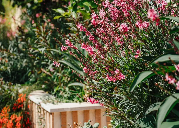 Casa Giafari 陶尔米纳